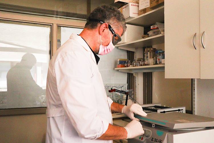 Ensayan una vacuna nasal para prevenir y tratar el Chagas crónico  