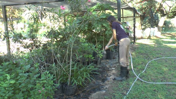La Escuela Granja de la UNL desarrolla un sistema de riego automatizado