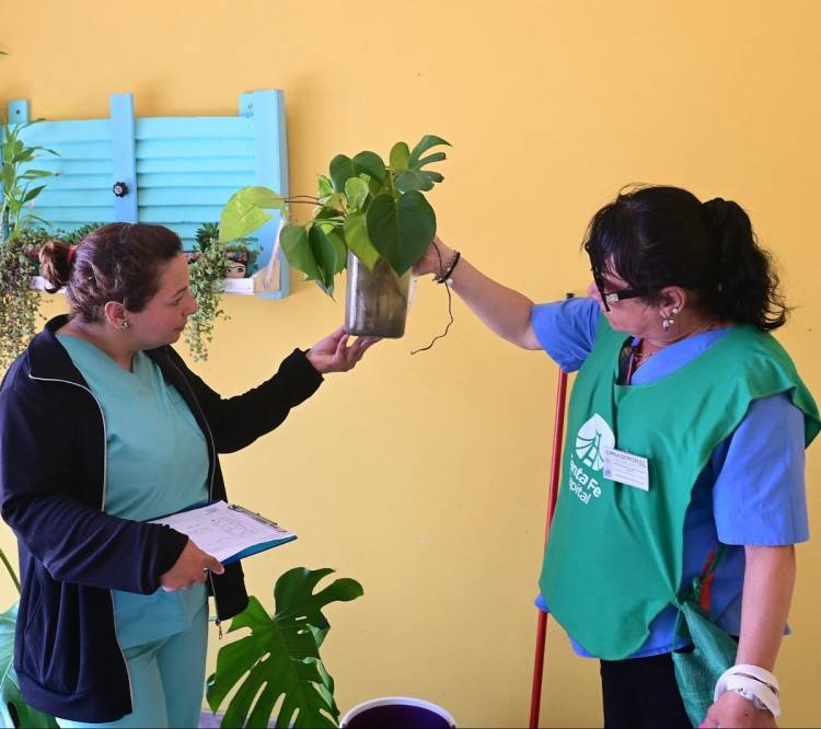 Dengue: son veintidós los barrios donde se encontró la presencia del vector transmisor
