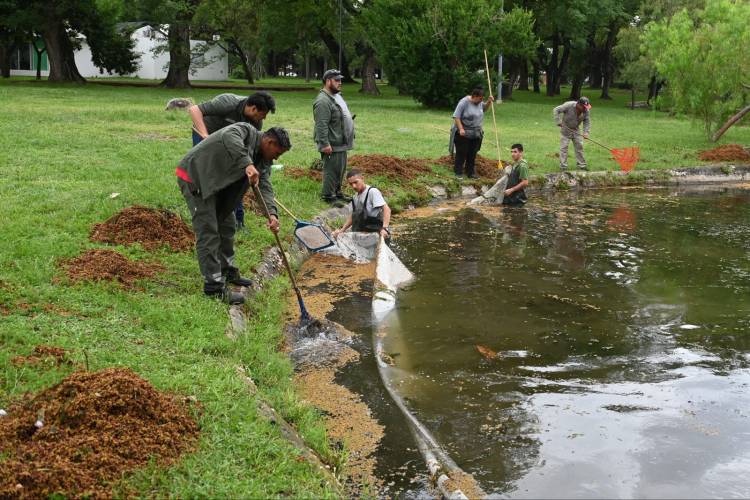 La Municipalidad realiza la limpieza de los lagos del parque Garay