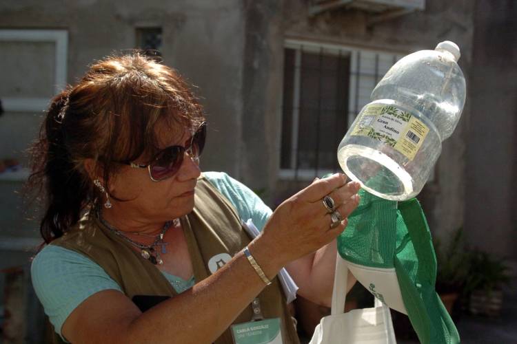 Dengue: se confirmó la presencia del vector en 33 barrios de la ciudad de Santa Fe