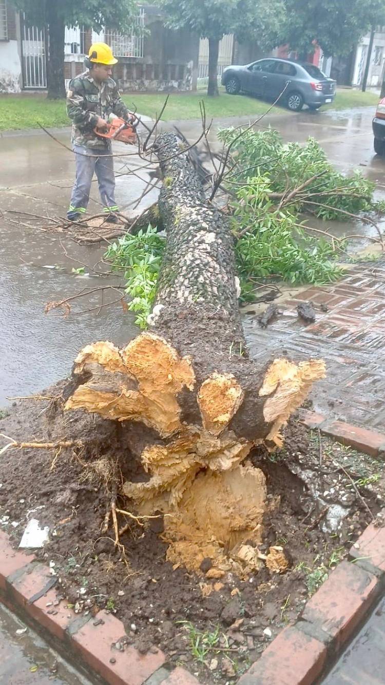 Santo Tomé, la Municipalidad trabaja ante las condiciones climáticas que afectaron a la ciudad
