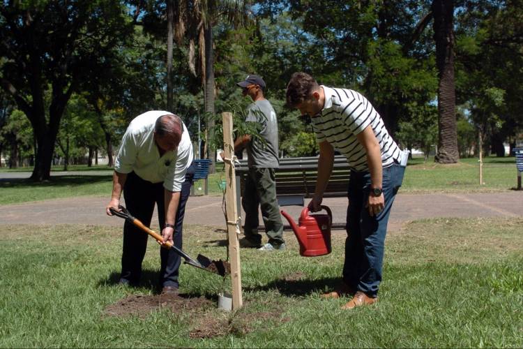Campaña de forestación: el intendente Poletti plantó el árbol número 5000 del año