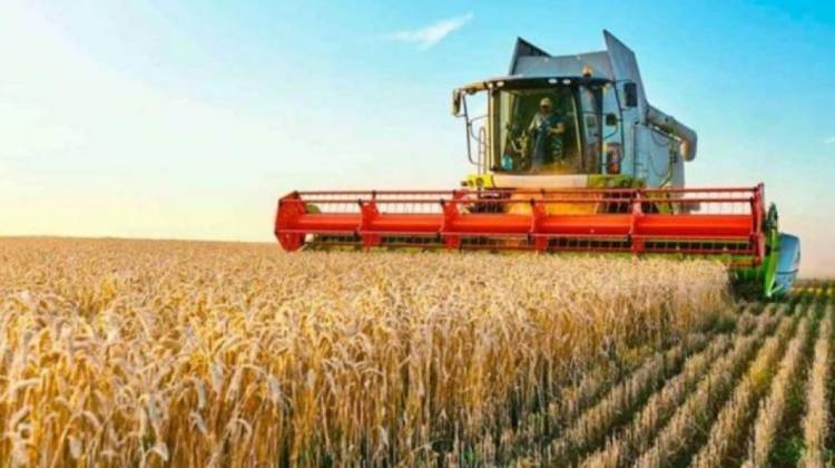 La demanda de China impulsa el crecimiento de las exportaciones argentinas de sorgo
