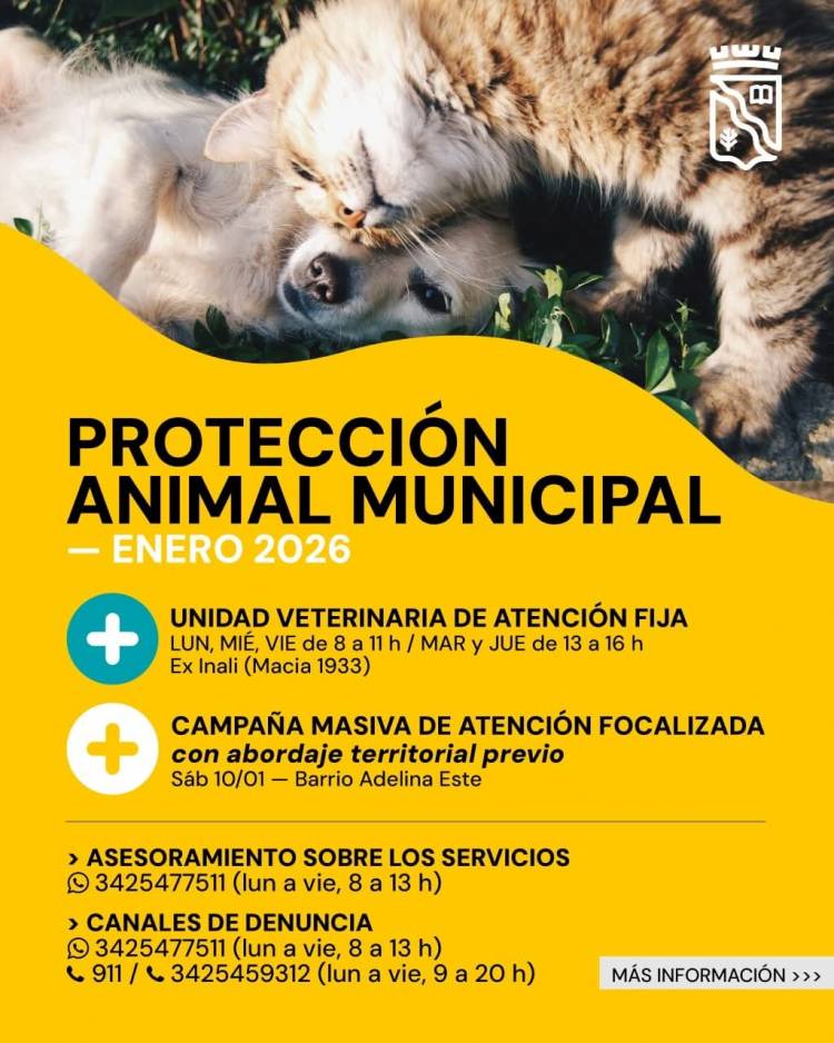 Protección Animal Municipal: cronograma de atención para enero de 2026