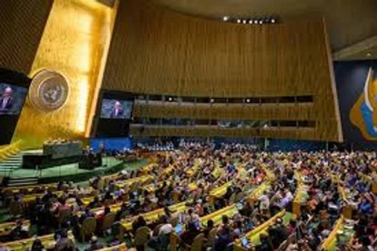 Sesión de Emergencia en el Consejo de Seguridad de la ONU
