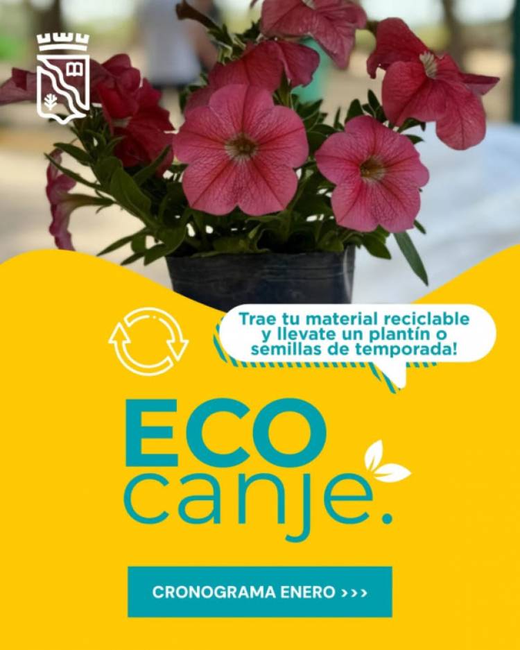 Eco Canje: cronograma de enero 2026