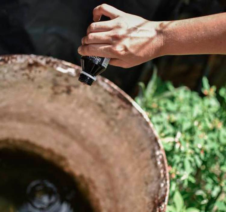 Dengue: se confirmó la presencia del vector en 25 barrios de la ciudad de Santa Fe