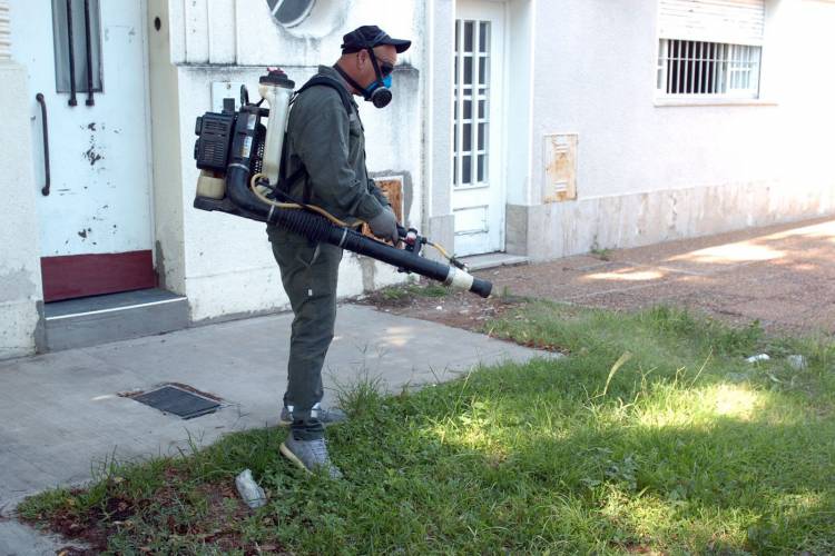 Dengue: la Municipalidad activó el protocolo y realizó un operativo de bloqueo en barrio Sur