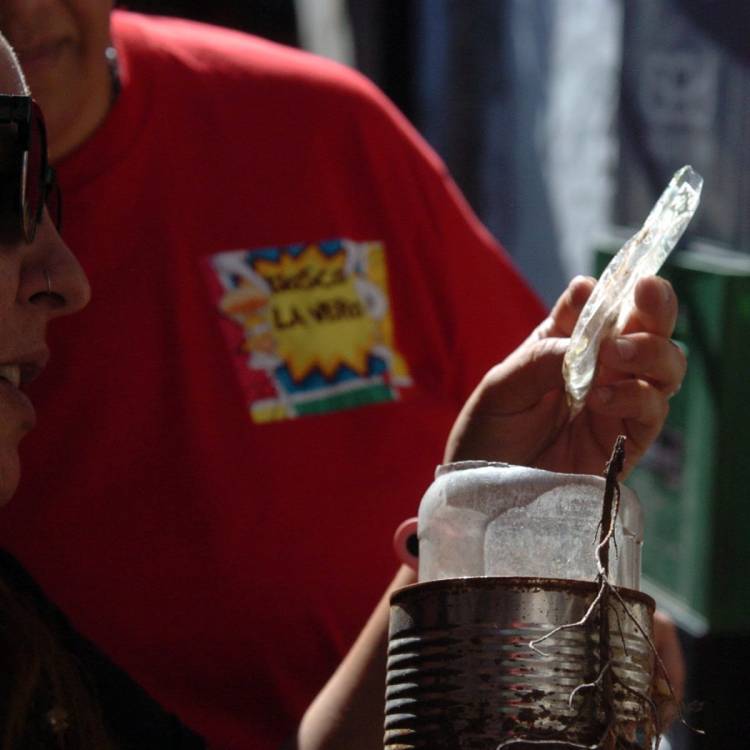 Dengue: se confirmó la presencia del vector en 37 barrios de la ciudad de Santa Fe