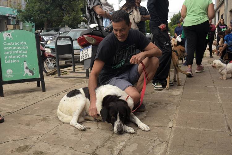 El Imusa realizará castraciones masivas gratuitas en la vecinal San Lorenzo