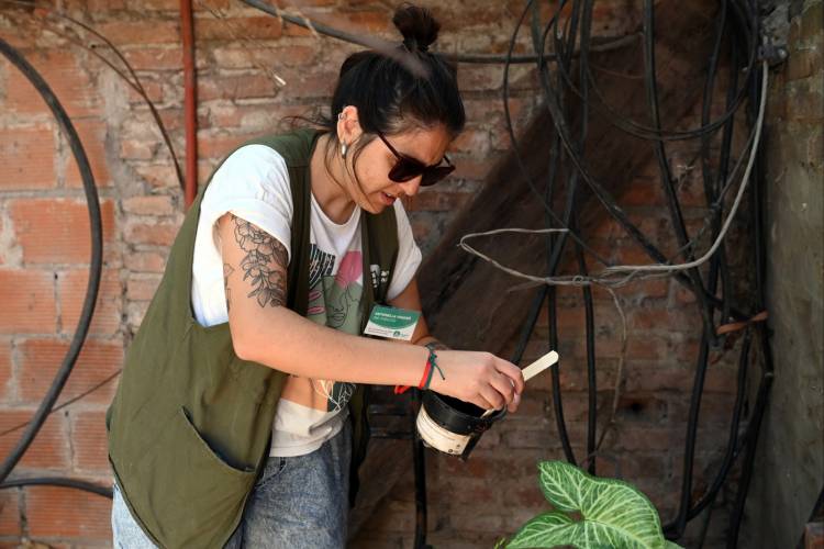 Dengue: se confirmó la presencia del vector en 26 barrios de la ciudad de Santa Fe