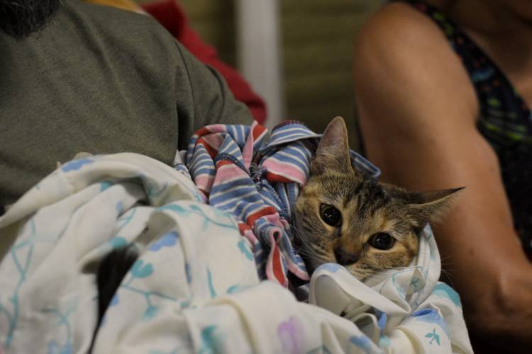 La Municipalidad brindará diferentes servicios este sábado en la vecinal El Tránsito