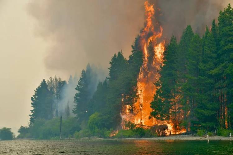 Declaran la emergencia ígnea en cuatro provincias por incendios en la Patagonia