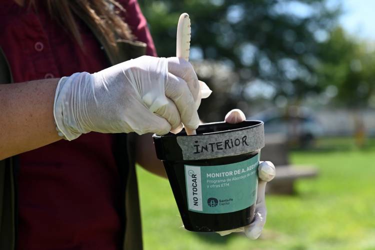 Dengue: se confirmó la presencia del vector en 30 barrios de la ciudad de Santa Fe