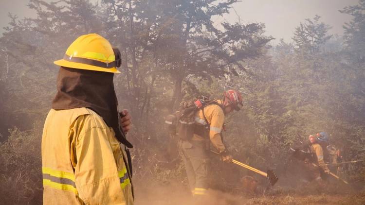 Brigadistas santafesinos ya combaten los incendios forestales en Puerto Patriada, en Chubut