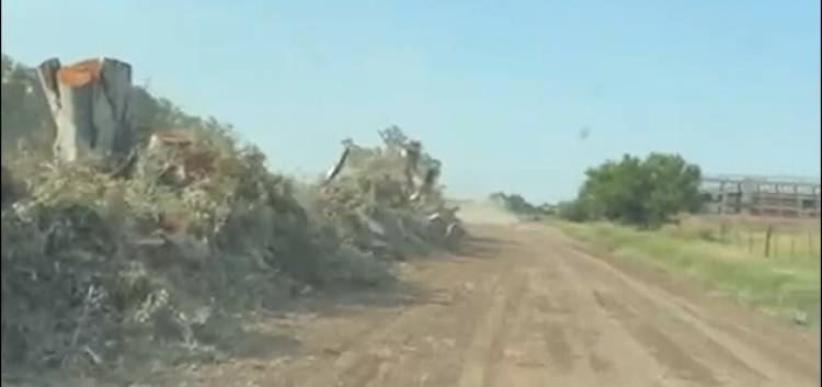 Pedimos terminar con la destrucción del patrimonio natural