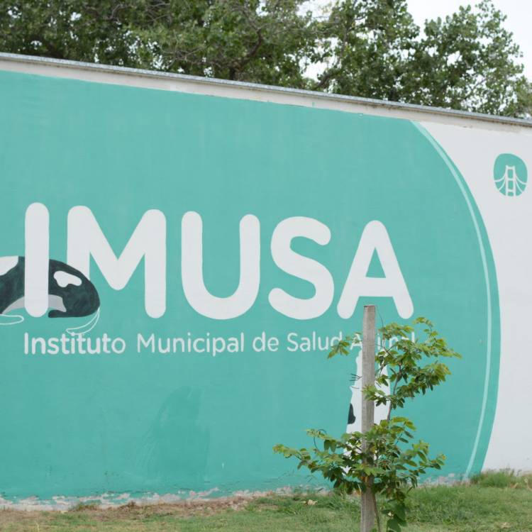 El Imusa realizó más de 6600 atenciones veterinarias en el mes de enero