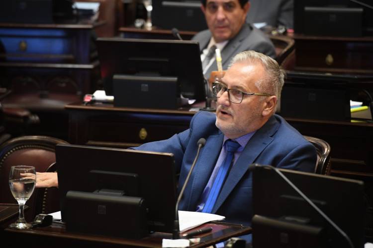 Lewandowski: "No hay ningún artículo de esta Ley que beneficie a los trabajadores"