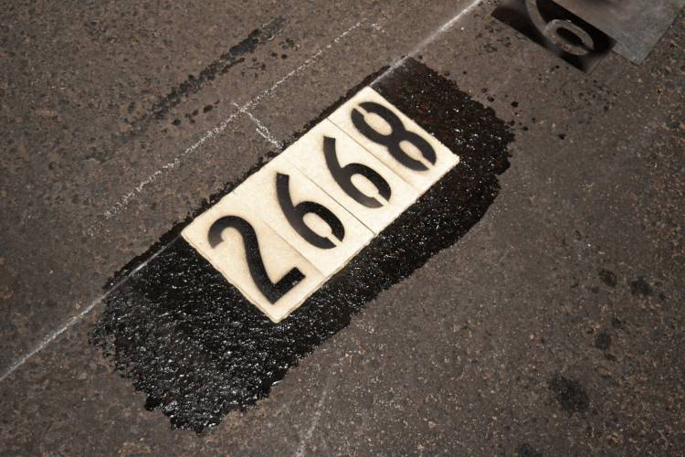 La Municipalidad continúa con la demarcación de las nuevas dársenas del SEOM