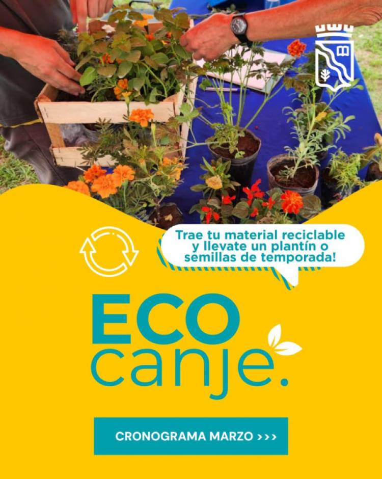 EcoCanje: cronograma de marzo 2026 y puntos de intercambio en la ciudad