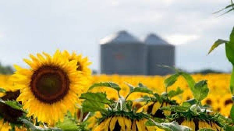 Las lluvias de febrero fortalecen la campaña agrícola y consolidan la perspectiva de una cosecha récord en Santa Fe