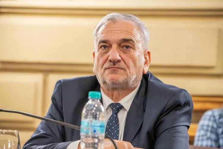 Calvo propone la creación de un programa de cortinas forestales