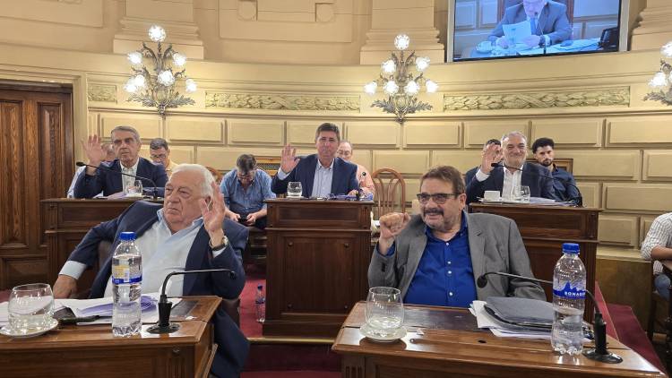 Senadores presentaron proyecto unificado para la reforma del código electoral provincial