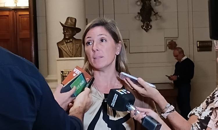 Armas Belavi pidió "reforzar el rol de la familia frente a la violencia escolar"
