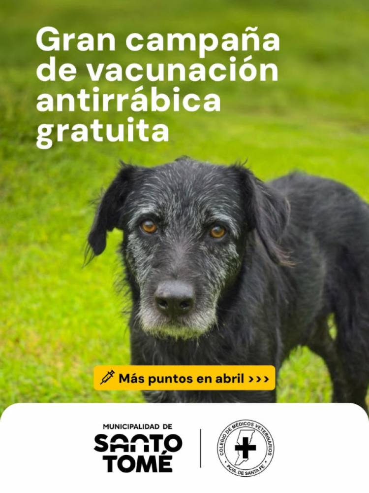 La Municipalidad amplía la campaña gratuita de vacunación antirrábica durante abril