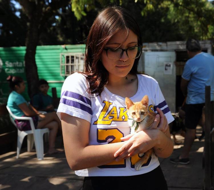 El IMUSA llega a zona sur con una campaña de vacunación antirrábica gratuita