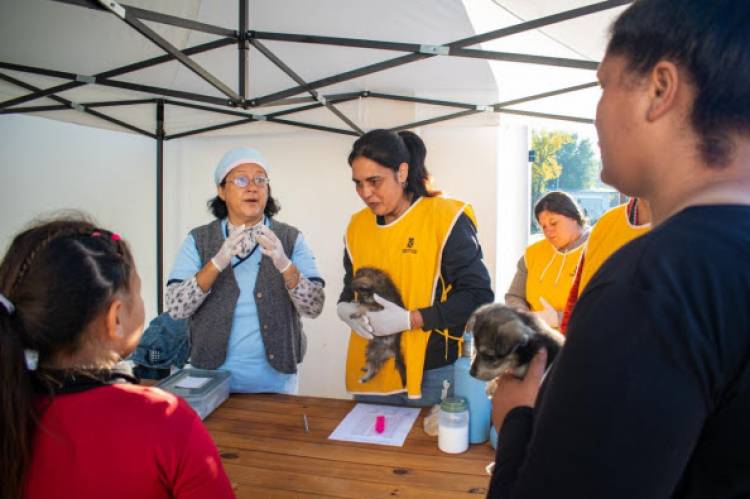 La Municipalidad realizó un nuevo abordaje masivo de Protección Animal en barrio Libertad