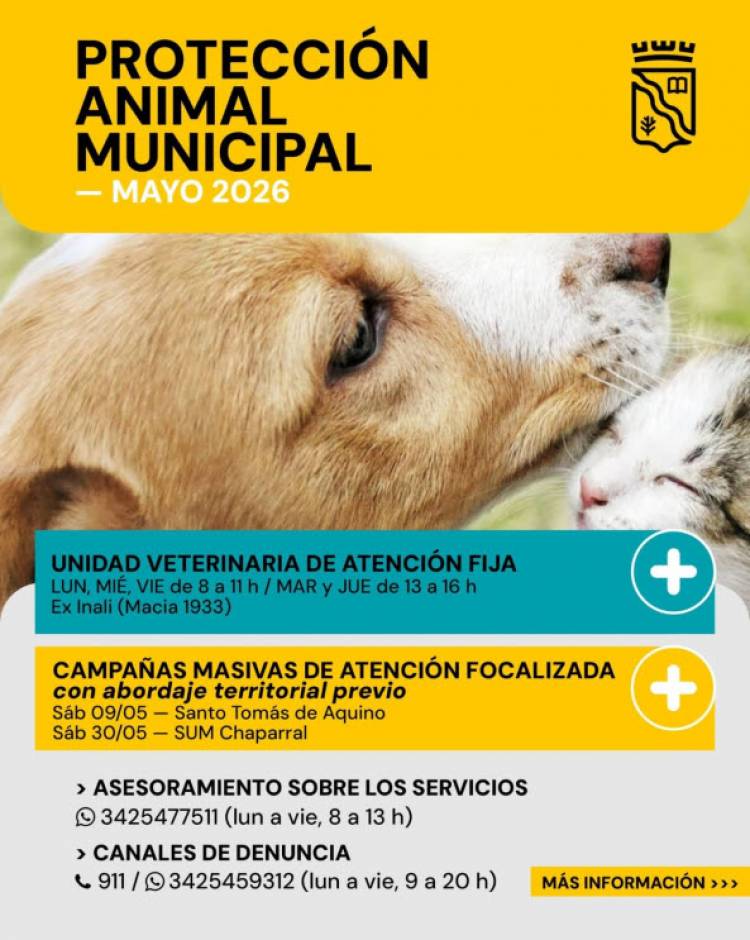 La Municipalidad informa el cronograma y servicios de Protección Animal para mayo