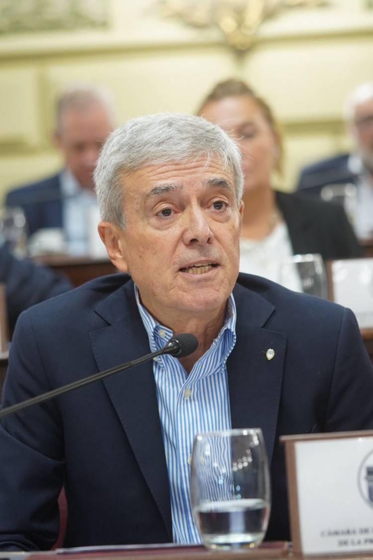 Agosto impulsa proyectos de transparencia en las cuentas públicas