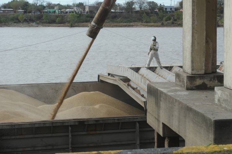 Perfil Exportador 2025: la ciudad exportó más de USD 36,8 millones y creció el número de empresas internacionalizadas