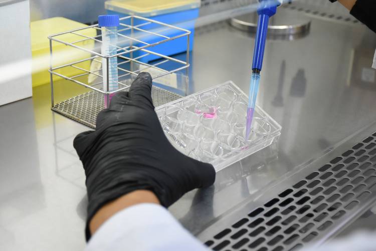 La UNL suma patentes en biotecnología y nanomedicina