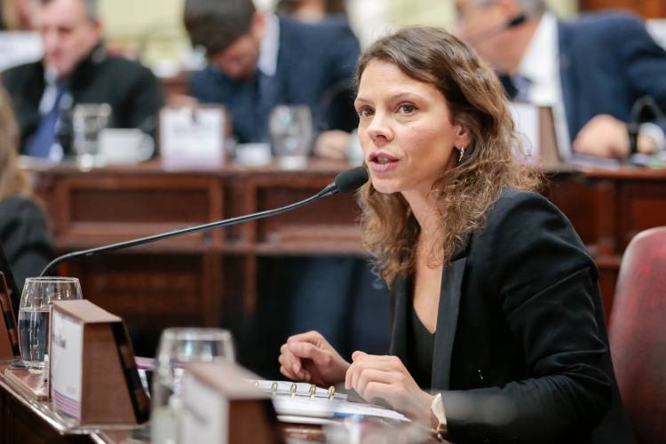 "Hoy estamos aprobando una ley que marca el inicio de un proceso de escucha y debate en el que los santafesinos y santafesinas vamos a decidir que educación queremos construir hacia el futuro." 
