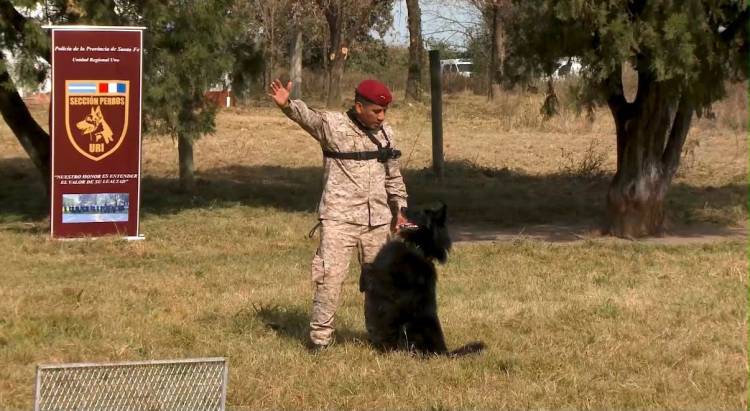 La Policía de Santa Fe realizó el primer Curso Nacional de Guías de Canes de Seguridad