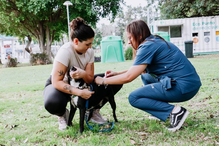La Municipalidad realizará una jornada de salud, ambiente y bienestar animal en el parque Federal