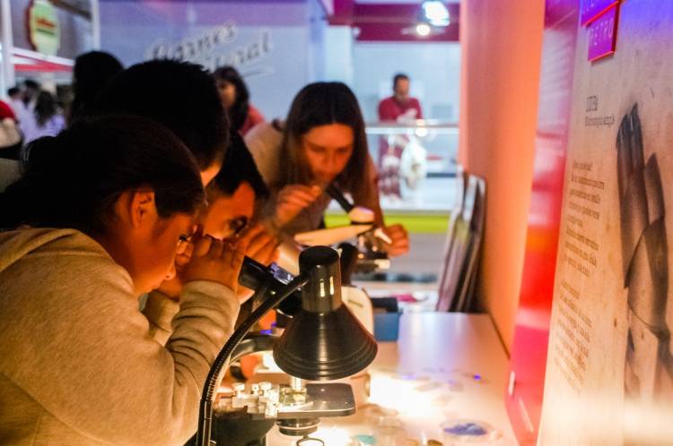 Encuentros de invierno en la UNL: saberes y espacios para compartir