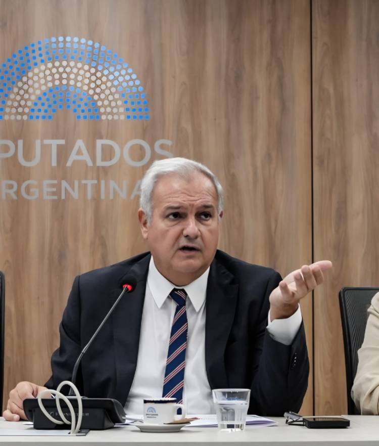 Farías impulsa una ley para fortalecer a las micro, pequeñas y medianas empresas, y promover el desarrollo productivo federal