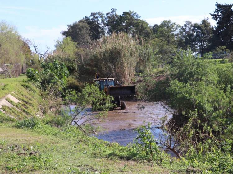 Fenómeno de El Niño: comenzaron los trabajos de limpieza y desmalezamiento en el canal de desagüe pluvial del Túnel Subfluvial