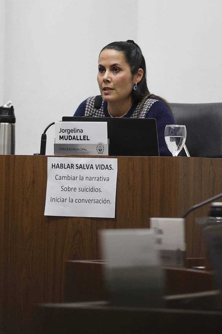 El Concejo adhirió a la Ley Ema