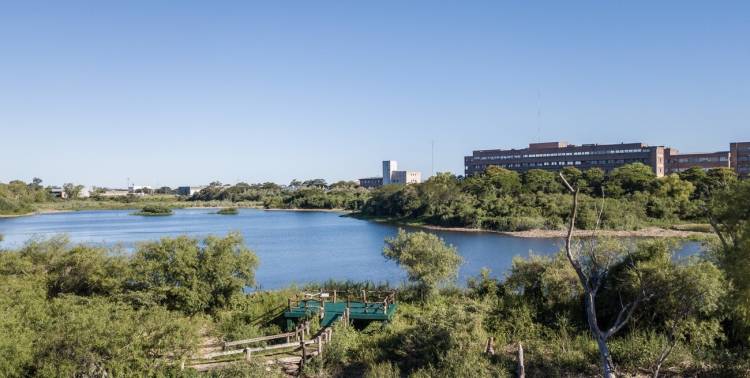 La UNL escala en el ranking Greenmetric y en sostenibilidad