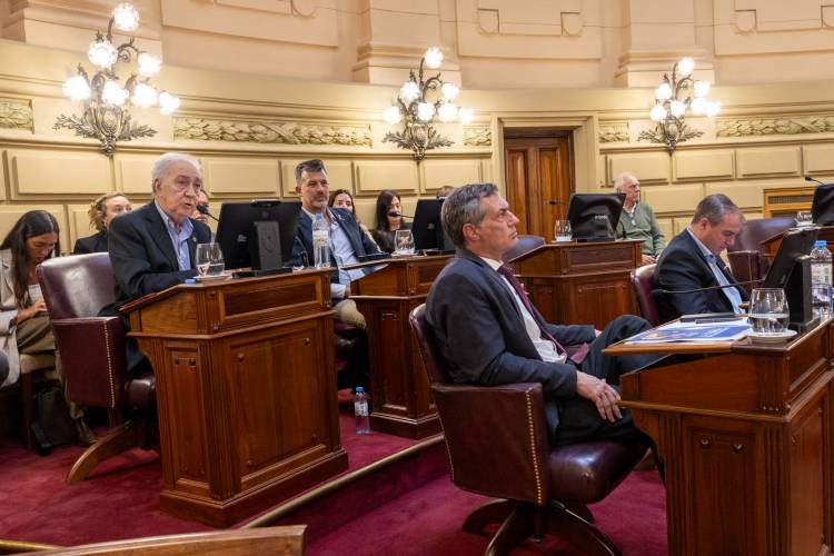 El Senado dio media sanción a un programa de convivencia deportiva