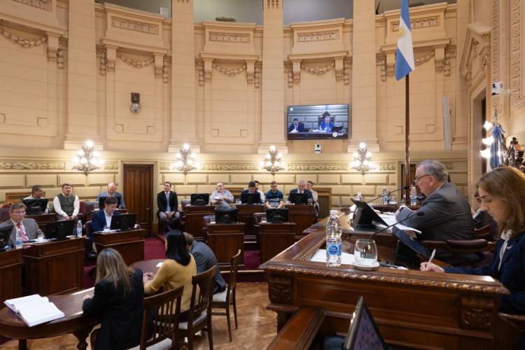 El Senado dio media sanción a un sistema de prevención de la violencia de género