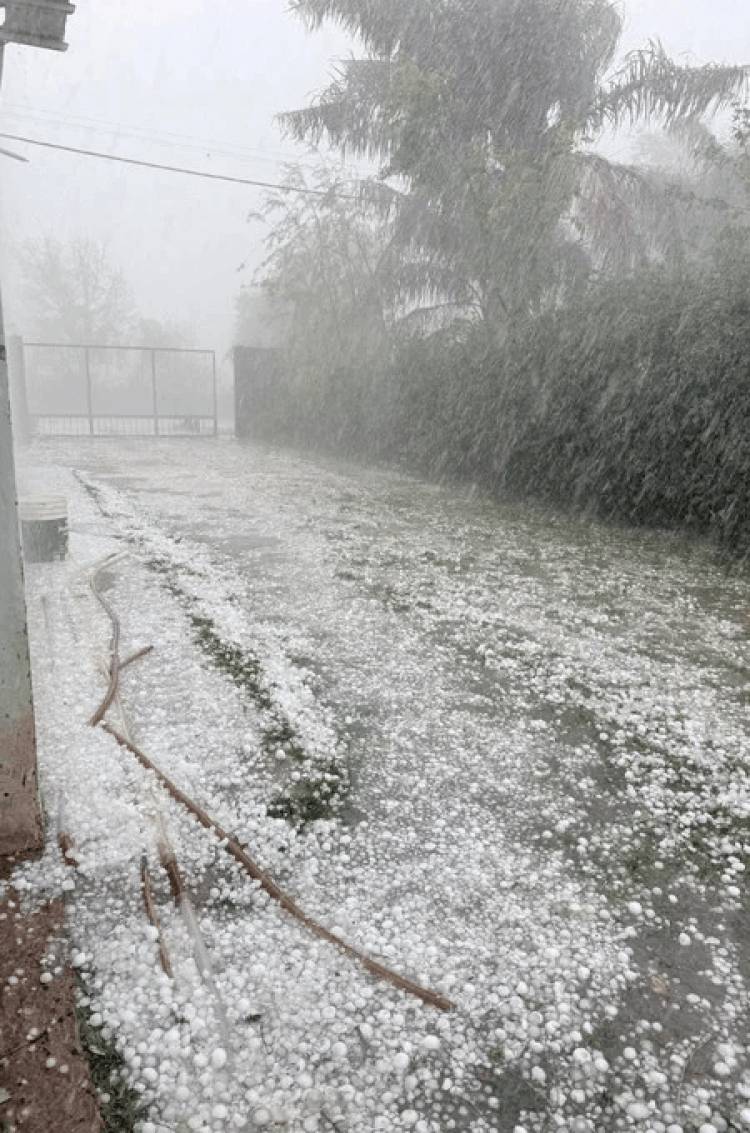 Acompañamos a los productores afectados por el temporal