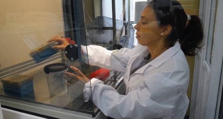 ¿Y si los antibióticos dejaran de funcionar?